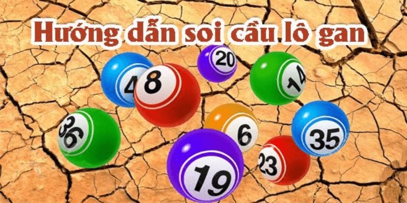 soi-cau-xo-so-mien-bac-lo-gan