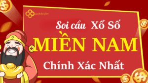 thumbnail-soi-cau-xo-so-mien-nam